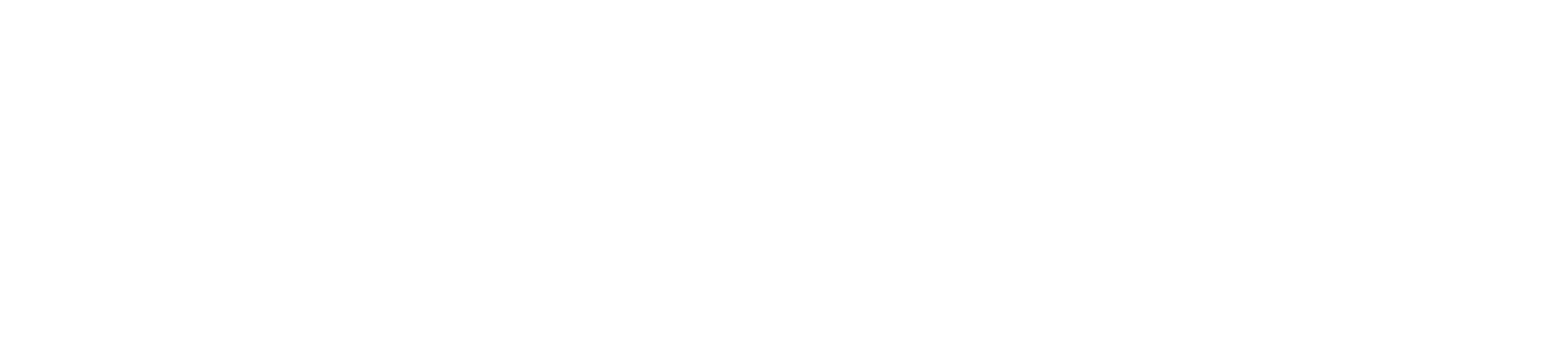 vFDB FlyDubai Virtual Airline Logo